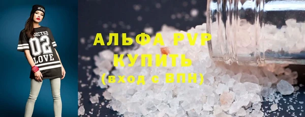 spice Инсар