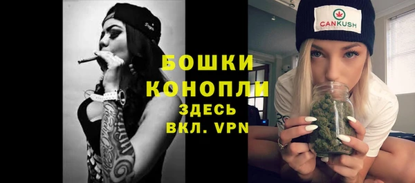 хмурый Инта