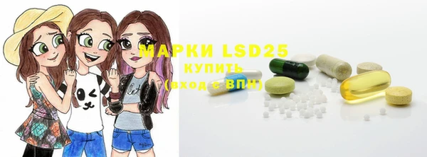 spice Инсар