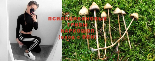 ECSTASY Иннополис
