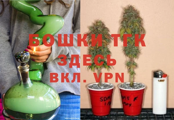 хмурый Инта