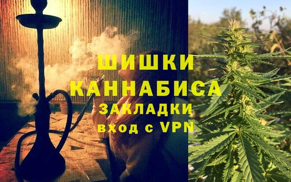 spice Инсар