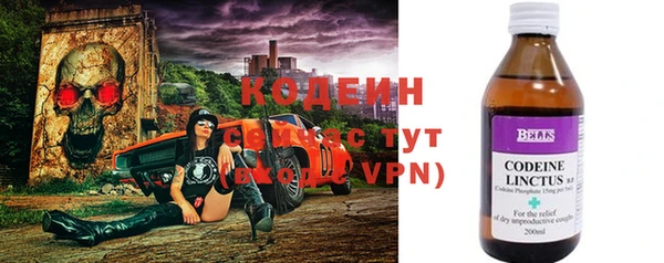 хмурый Инта