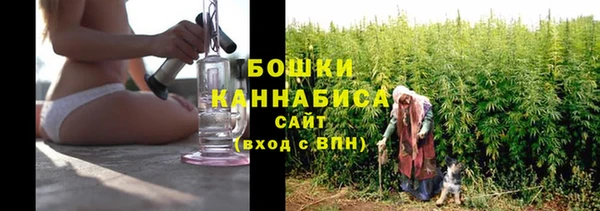 spice Инсар